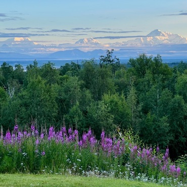 Alaska
